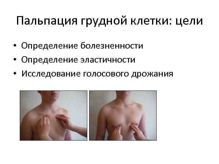 Пальпация грудной клетки: цели • Определение болезненности • Определение эластичности • Исследование голосового дрожания