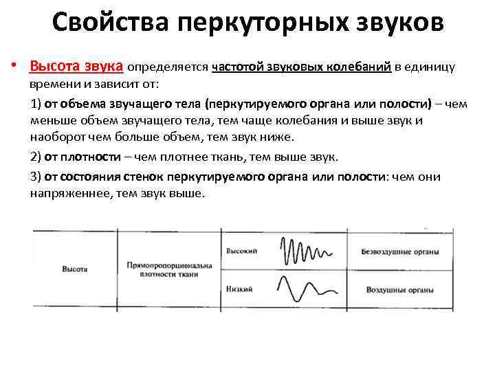 Свойства перкуторных звуков • Высота звука определяется частотой звуковых колебаний в единицу времени и
