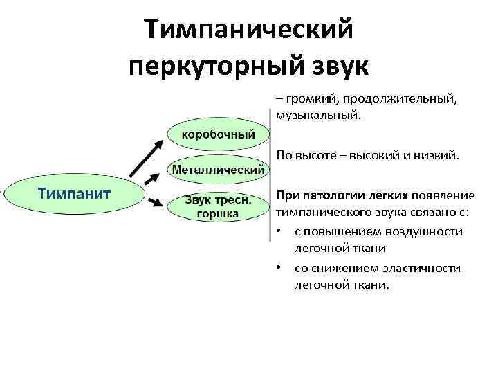 Тимпанический перкуторный звук – громкий, продолжительный, музыкальный. По высоте – высокий и низкий. При
