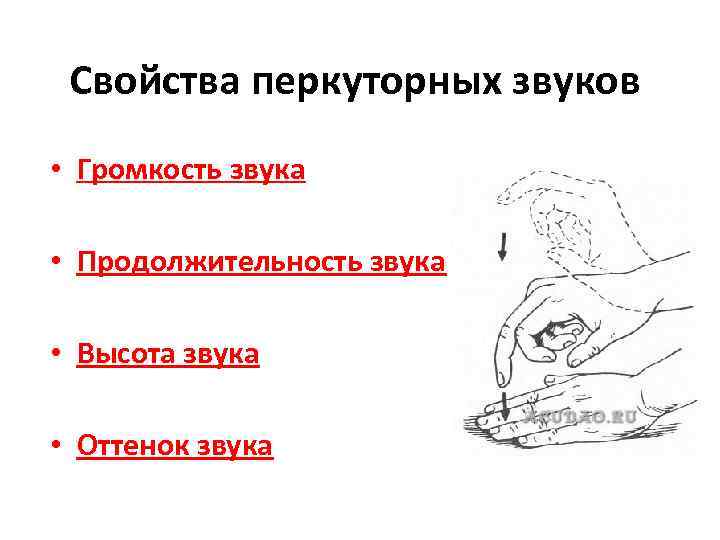 Свойства перкуторных звуков • Громкость звука • Продолжительность звука • Высота звука • Оттенок