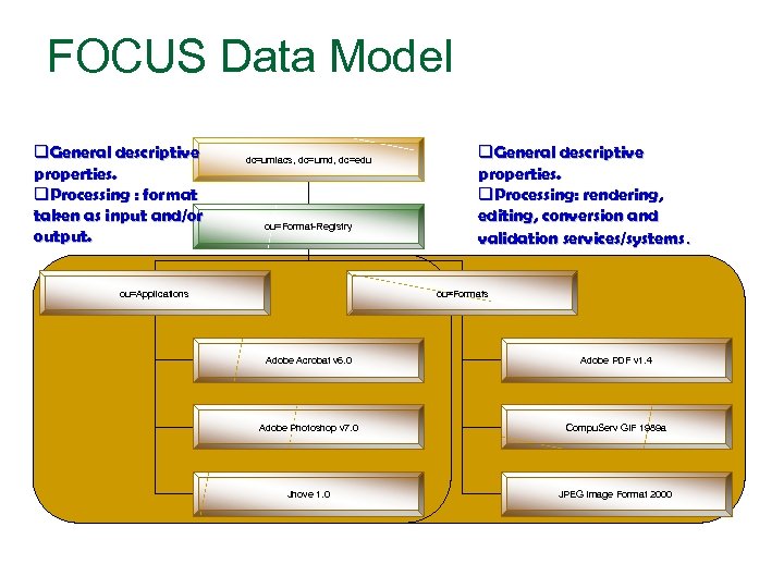 FOCUS Data Model q. General descriptive properties. q. Processing : format taken as input