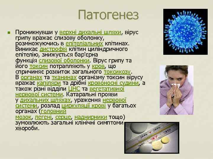 Патогенез n Проникнувши у верхні дихальні шляхи, вірус грипу вражає слизову оболонку, розмножуючись в