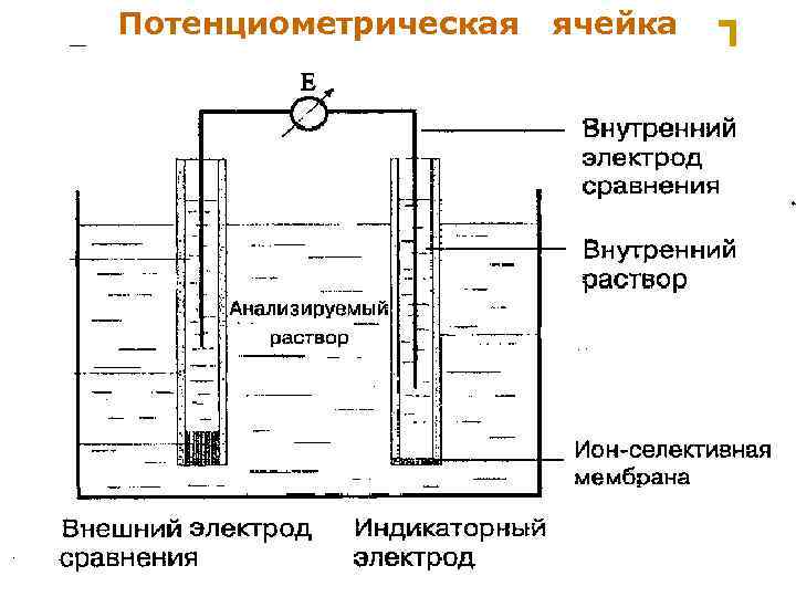 Потенциометрическая МККОС. Л. К. № 9. Попова Людмила Федоровна ячейка 12 