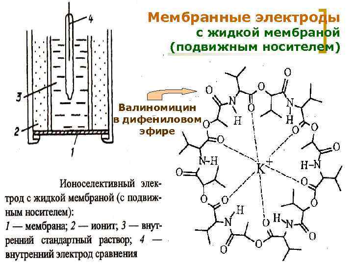 Мембранные электроды с жидкой мембраной (подвижным носителем) Валиномицин в дифениловом эфире МККОС. Л. К.