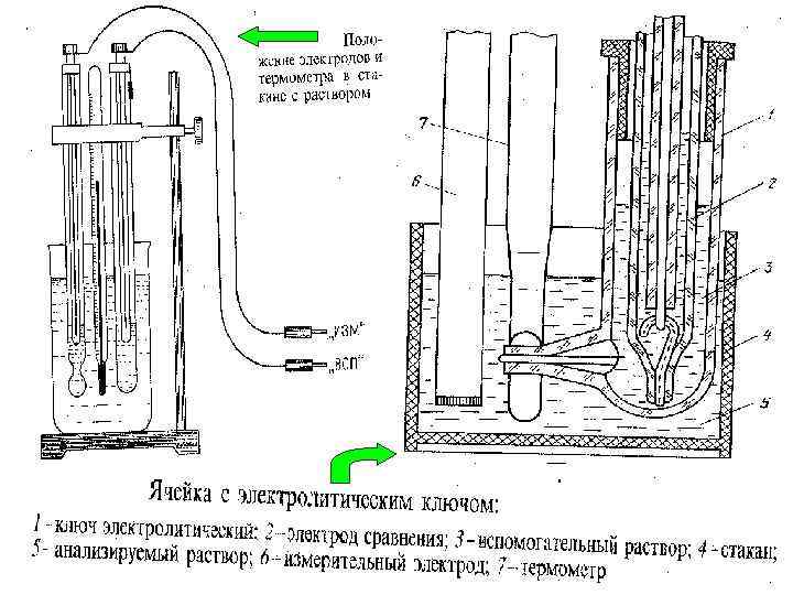 МККОС. Л. К. № 9. Попова Людмила Федоровна 23 