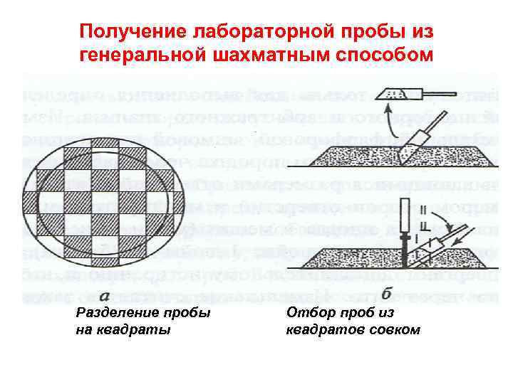 Получение лабораторной пробы из генеральной шахматным способом Разделение пробы на квадраты Отбор проб из