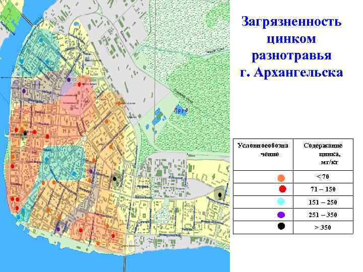 Загрязненность цинком разнотравья г. Архангельска Условноеобозна чение Содержание цинка, мг/кг < 70 71 –