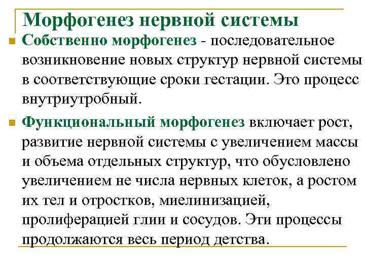 Морфогенез нервной системы n n Собственно морфогенез - последовательное возникновение новых структур нервной системы