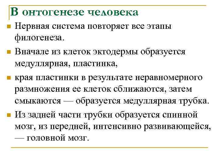 В онтогенезе человека n n Нервная система повторяет все этапы филогенеза. Вначале из клеток