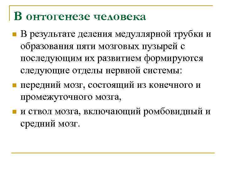 В онтогенезе человека n n n В результате деления медуллярной трубки и образования пяти