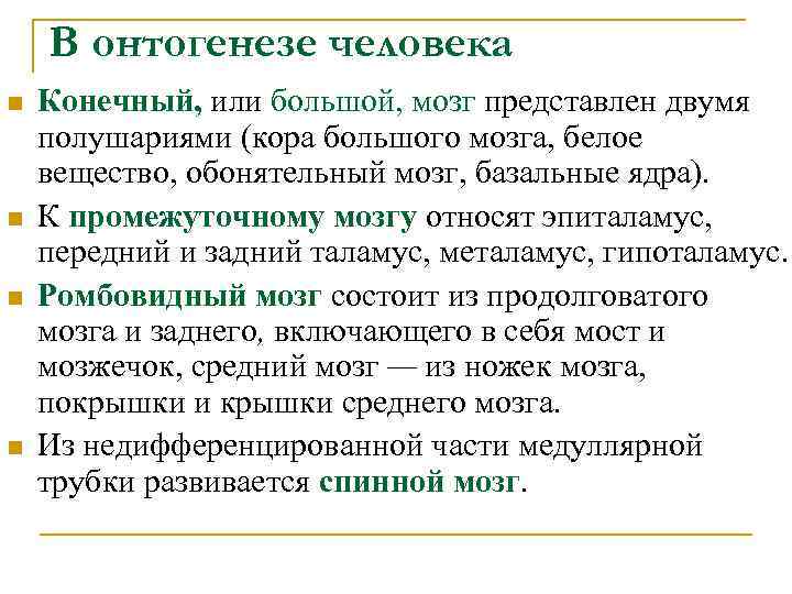 В онтогенезе человека n n Конечный, или большой, мозг представлен двумя полушариями (кора большого