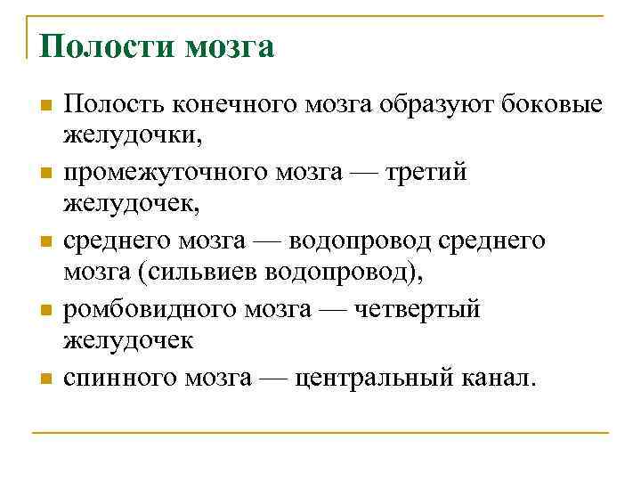 Полости мозга n n n Полость конечного мозга образуют боковые желудочки, промежуточного мозга —