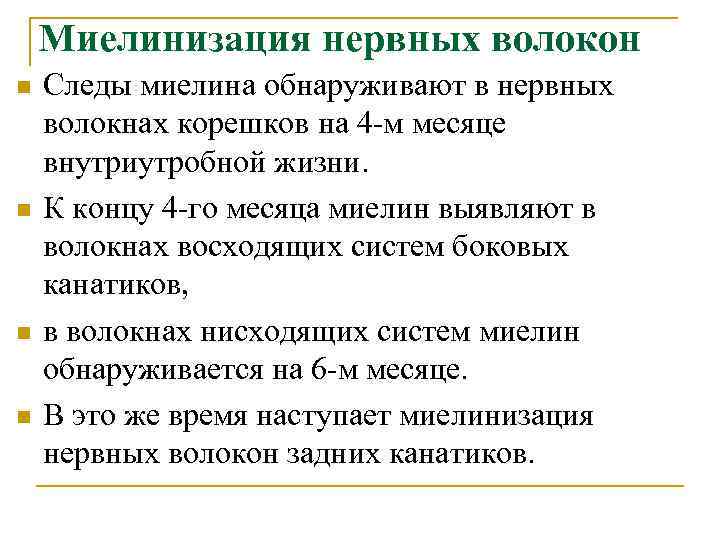 Миелинизация нервных волокон n n Следы миелина обнаруживают в нервных волокнах корешков на 4