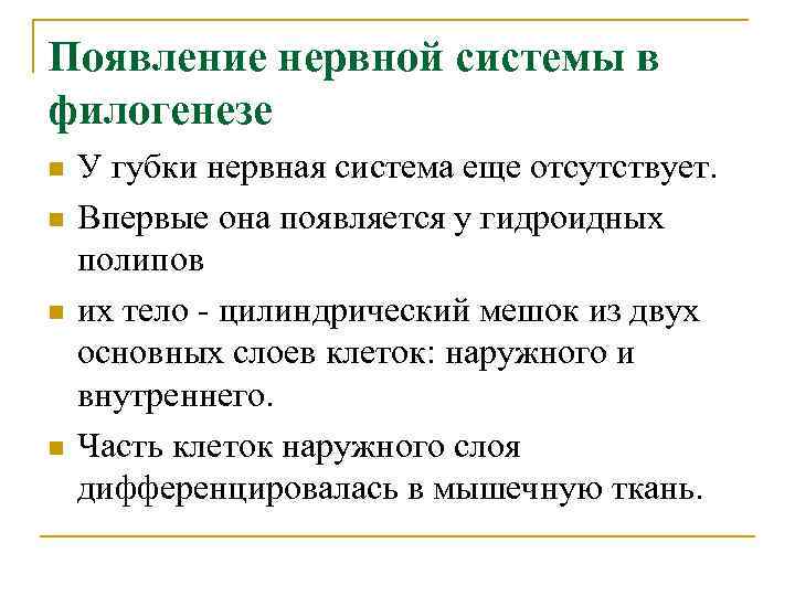 Появление нервной системы в филогенезе n n У губки нервная система еще отсутствует. Впервые