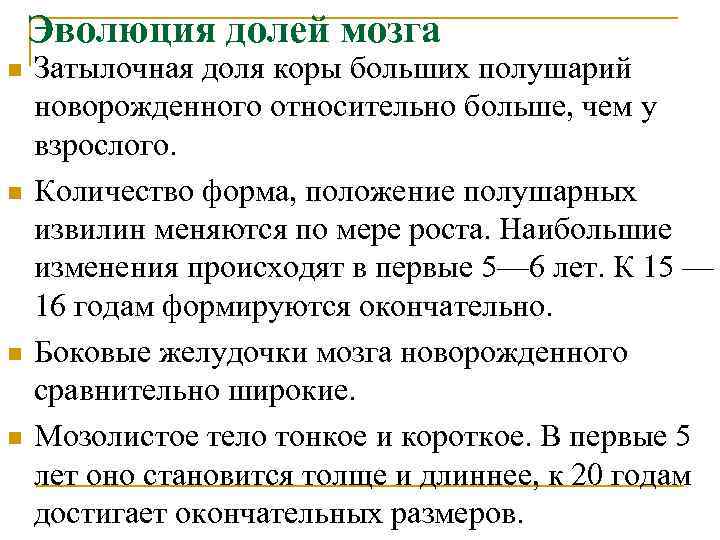 Эволюция долей мозга n n Затылочная доля коры больших полушарий новорожденного относительно больше, чем