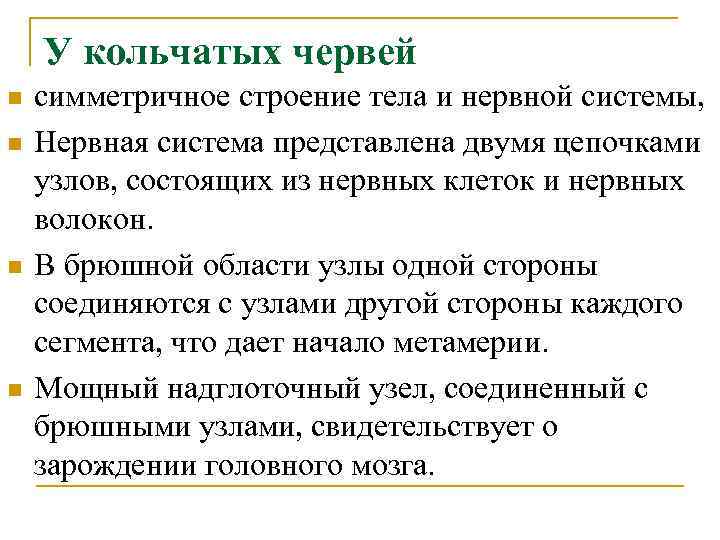 У кольчатых червей n n симметричное строение тела и нервной системы, Нервная система представлена
