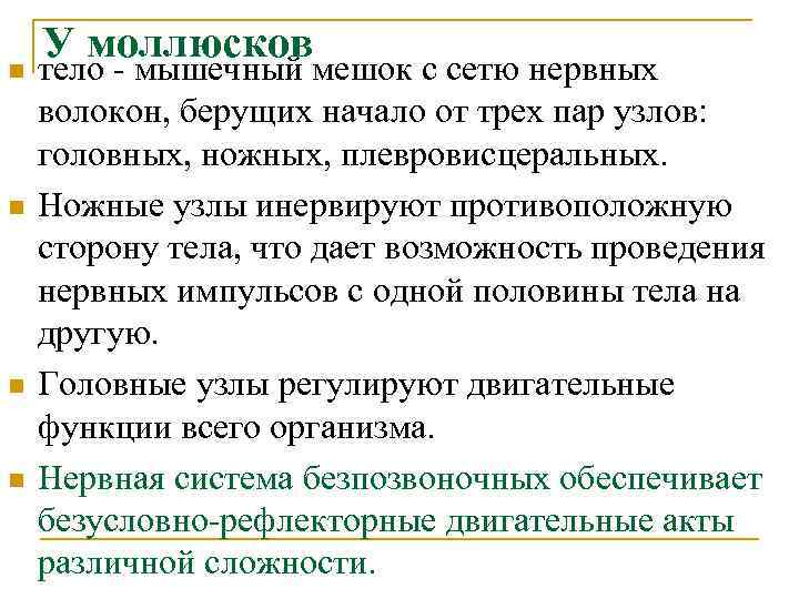 n n У моллюсков тело - мышечный мешок с сетю нервных волокон, берущих начало