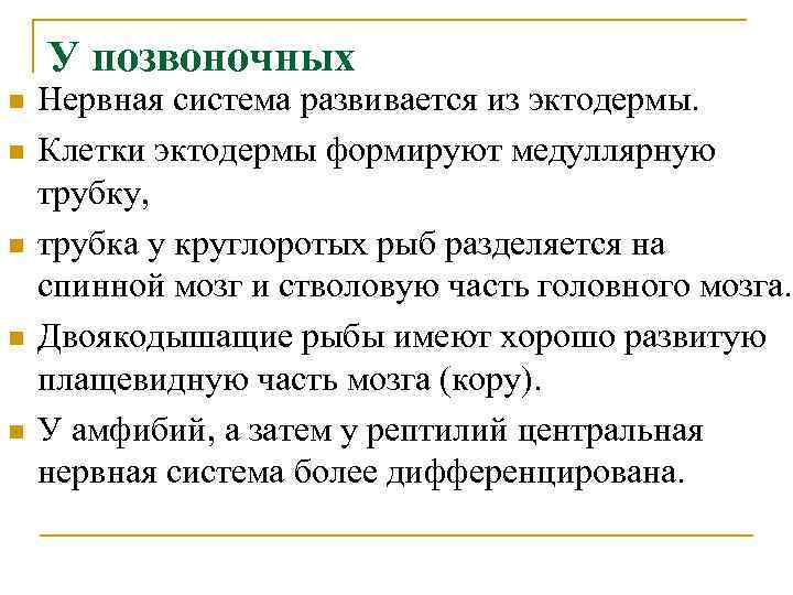 У позвоночных n n n Нервная система развивается из эктодермы. Клетки эктодермы формируют медуллярную