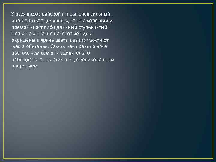 У всех видов райской птицы клюв сильный, иногда бывает длинным, так же короткий и