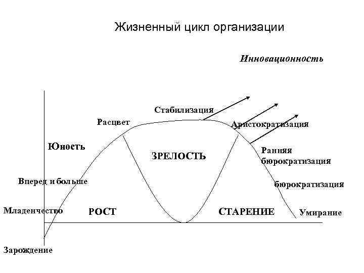 Жизненный цикл организации Инновационность Стабилизация Расцвет Юность ЗРЕЛОСТЬ Вперед и больше Младенчество Зарождение Аристократизация