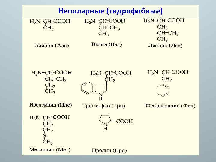 Состав радикалов аминокислот. Протеиногенные аминокислоты гидрофобные. Классификация аминокислот гидрофобные. Неполярные гидрофобные аминокислоты. Классификация аминокислот Полярные и неполярные.
