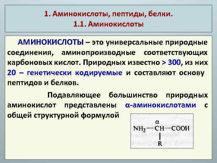 Аминокислоты это белки