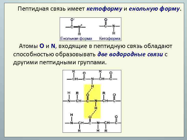 Аминокислоты пептиды белки презентация