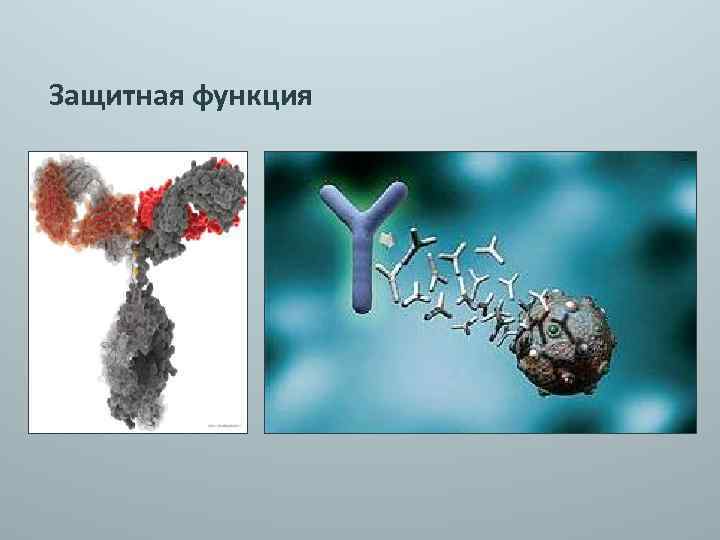 Защитная функция 