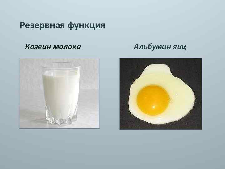 Куриный белок детям. Яичный альбумин функция белка. Белок в яйце альбумин. Казеин белок функции. Казеин и альбумин.