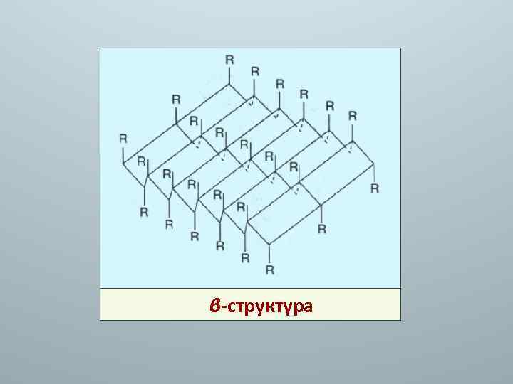 β-структура 