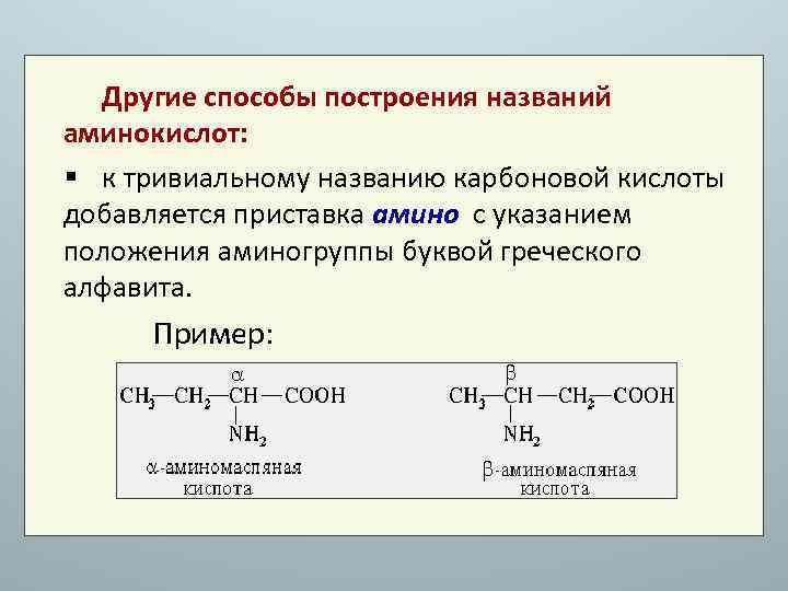 Аминокислоты к месту сборки белка