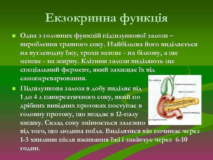 Екзокринна функція n n Одна з головних функцій підшлункової залози – вироблення травного соку.