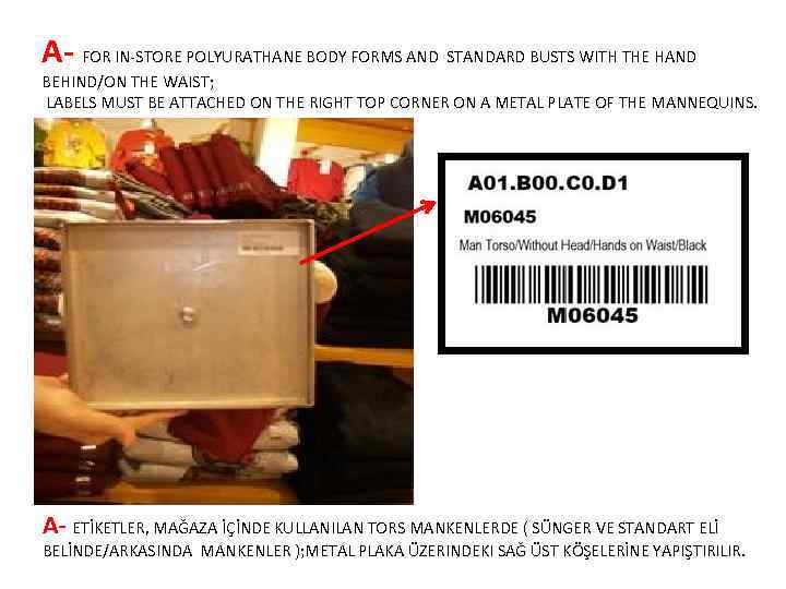 A- FOR IN-STORE POLYURATHANE BODY FORMS AND STANDARD BUSTS WITH THE HAND BEHIND/ON THE