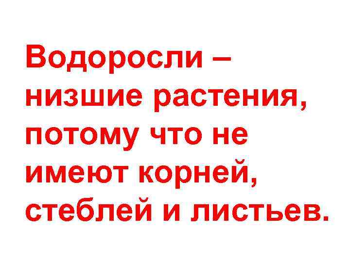 Водоросли – низшие растения, потому что не имеют корней, стеблей и листьев. 