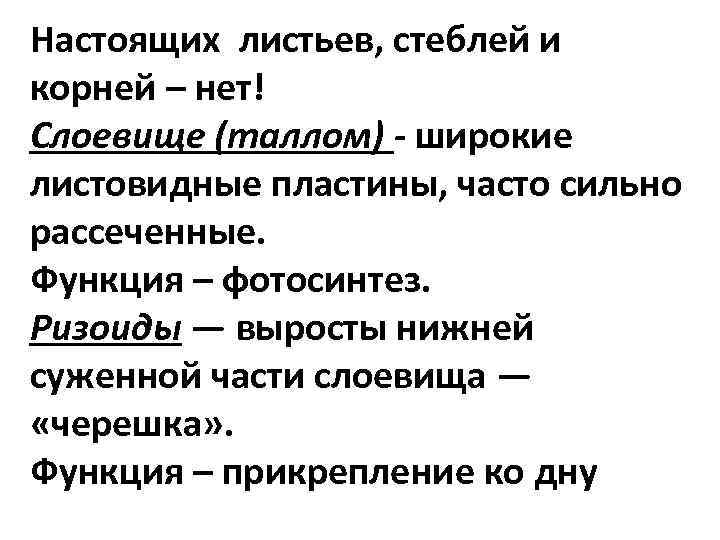 Настоящих листьев, стеблей и корней – нет! Слоевище (таллом) - широкие листовидные пластины, часто