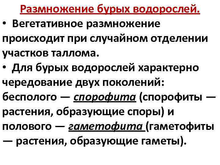 Размножение бурых водорослей. • Вегетативное размножение происходит при случайном отделении участков таллома. • Для