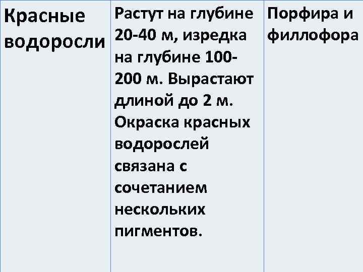 Красные Растут на глубине Порфира и водоросли 20 -40 м, изредка филлофора на глубине