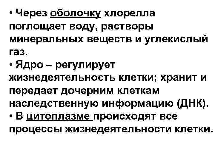  • Через оболочку хлорелла поглощает воду, растворы минеральных веществ и углекислый газ. •