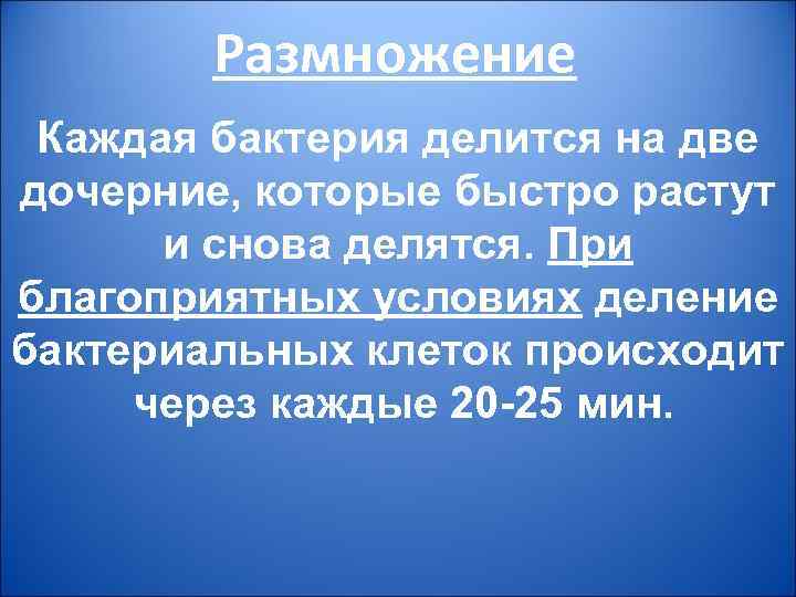 Размножение Каждая бактерия делится на две дочерние, которые быстро растут и снова делятся. При