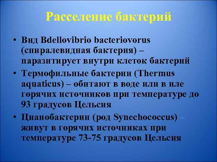 Расселение бактерий • Вид Bdellovibrio bacteriovorus (спиралевидная бактерия) – паразитирует внутри клеток бактерий •