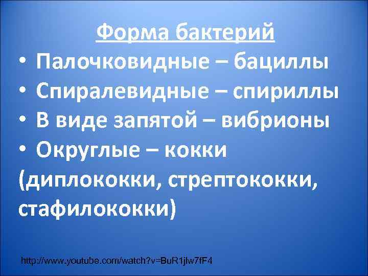 Форма бактерий • Палочковидные – бациллы • Спиралевидные – спириллы • В виде запятой