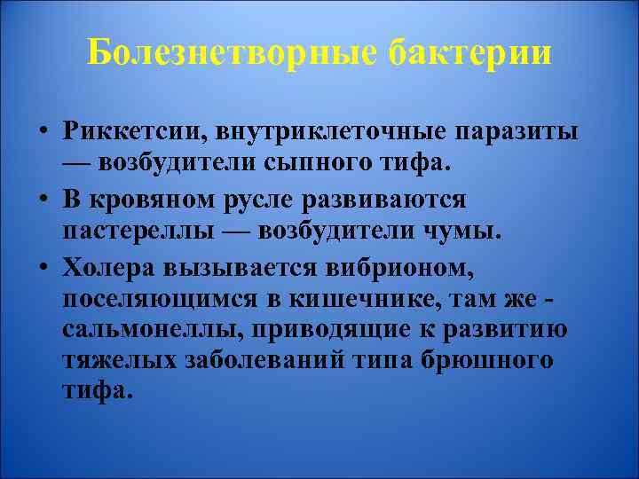 Болезнетворные бактерии • Риккетсии, внутриклеточные паразиты — возбудители сыпного тифа. • В кровяном русле