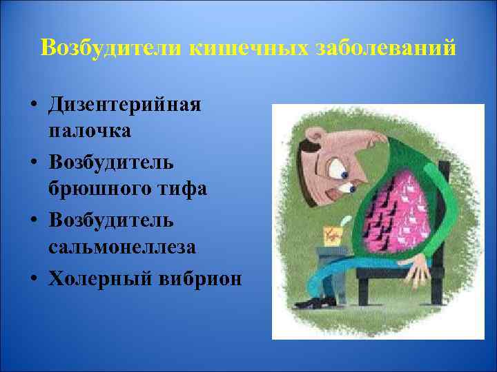 Возбудители кишечных заболеваний • Дизентерийная палочка • Возбудитель брюшного тифа • Возбудитель сальмонеллеза •