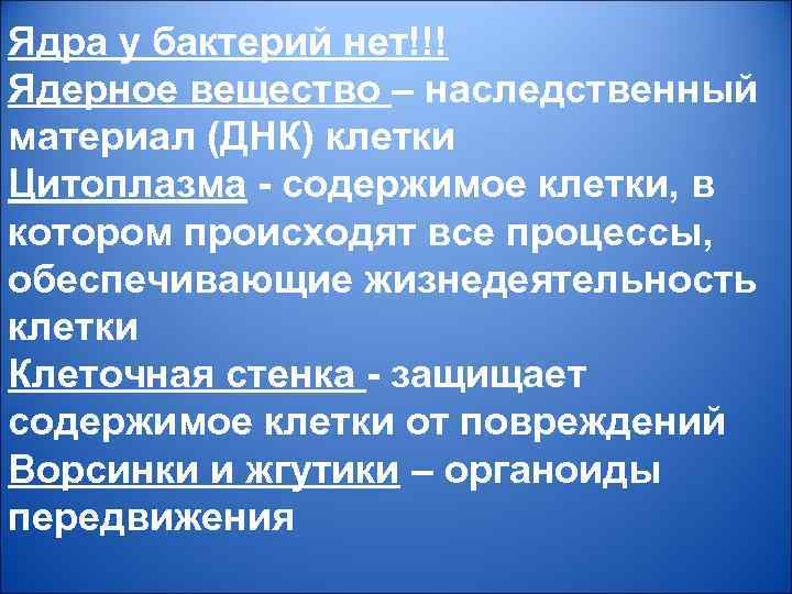 Ядра у бактерий нет!!! Ядерное вещество – наследственный материал (ДНК) клетки Цитоплазма - содержимое