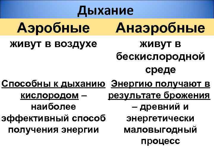 Дыхание Аэробные Анаэробные живут в воздухе живут в бескислородной среде Способны к дыханию Энергию