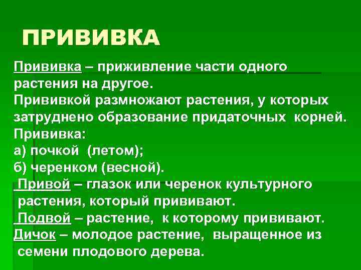 ПРИВИВКА Прививка – приживление части одного растения на другое. Прививкой размножают растения, у которых
