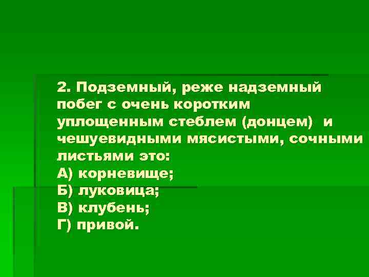 2. Подземный, реже надземный побег с очень коротким уплощенным стеблем (донцем) и чешуевидными мясистыми,