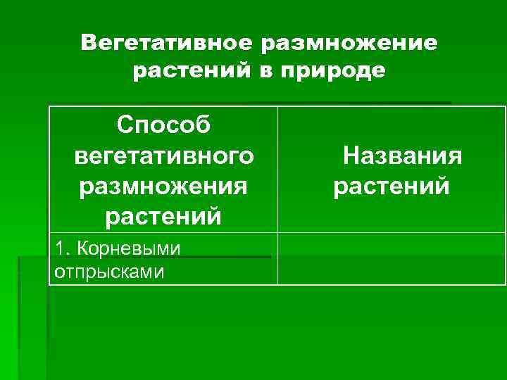 Вегетативное размножение растений в природе Способ вегетативного размножения растений 1. Корневыми отпрысками Названия растений
