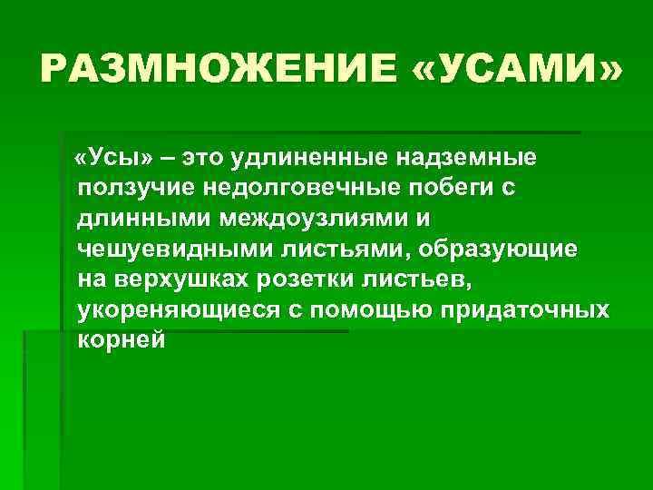 РАЗМНОЖЕНИЕ «УСАМИ» «Усы» – это удлиненные надземные ползучие недолговечные побеги с длинными междоузлиями и