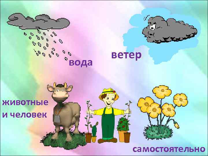 Ветер животные